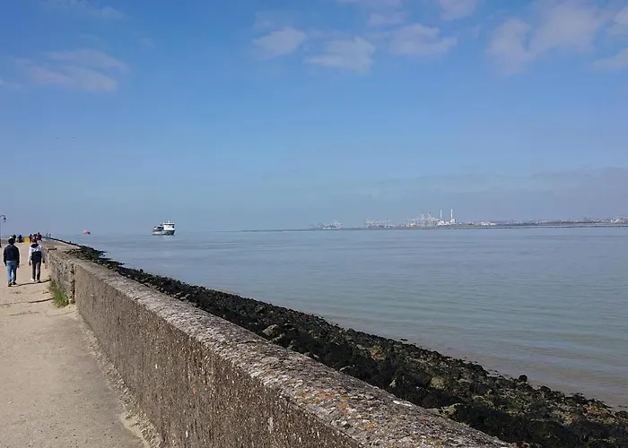 Effet 1 דירה הונפלר